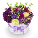 Box fialových květin